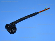  AMP L- 7   