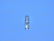 ��������� 24V W3W T7,5 1686 Koito