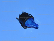 ������� 12V B-224D 3c ����� 36-2591 CBT