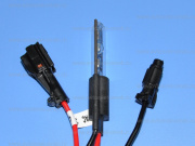 ����� ���������� H1 21mm 6000K Xenite