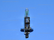 ��������� 12V H1 55W GOLD 12551G ������