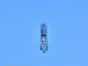 ��������� 24V W1.2W T5 17040 Narva