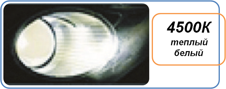4500.png